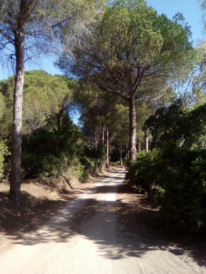 Appartamento Vacanze Sardegna Siniscola Luaran gambar