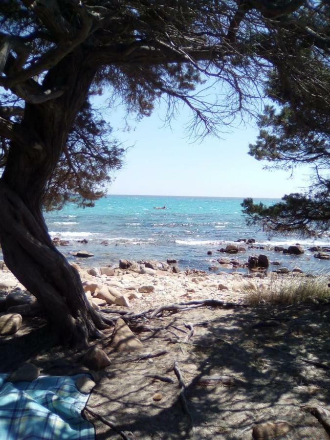 Appartamento Vacanze Sardegna Siniscola Luaran gambar
